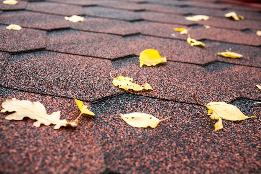 roof in the fall season