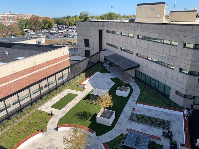 commercial roof in springtime